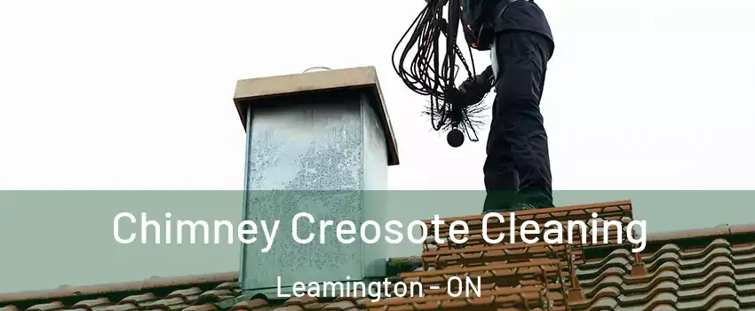  Chimney Creosote Cleaning Leamington - ON