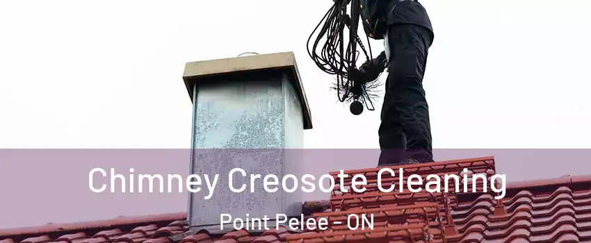  Chimney Creosote Cleaning Point Pelee - ON