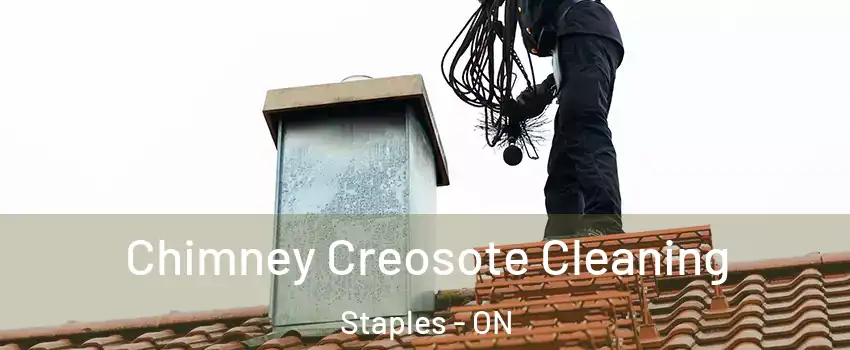  Chimney Creosote Cleaning Staples - ON
