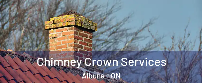  Chimney Crown Services Albuna - ON