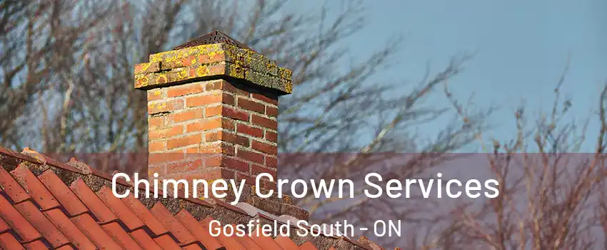  Chimney Crown Services Gosfield South - ON