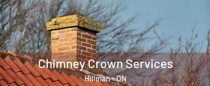  Chimney Crown Services Hillman - ON