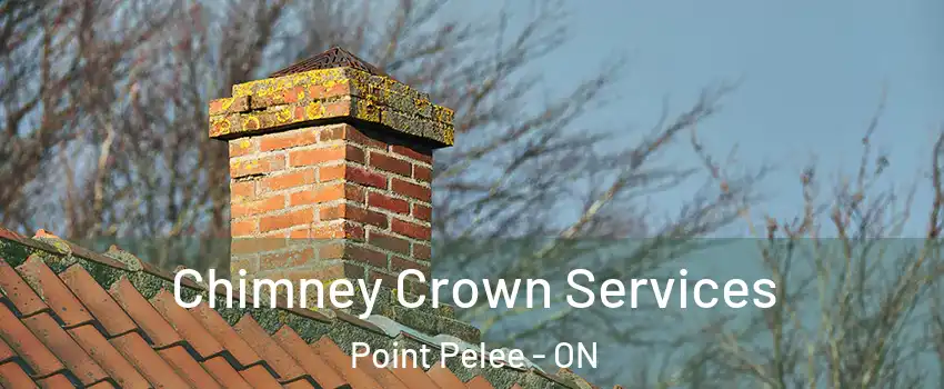  Chimney Crown Services Point Pelee - ON