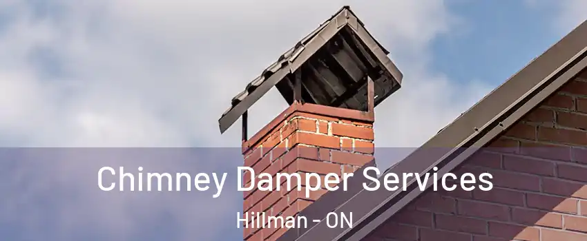  Chimney Damper Services Hillman - ON