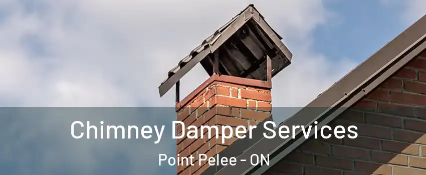  Chimney Damper Services Point Pelee - ON