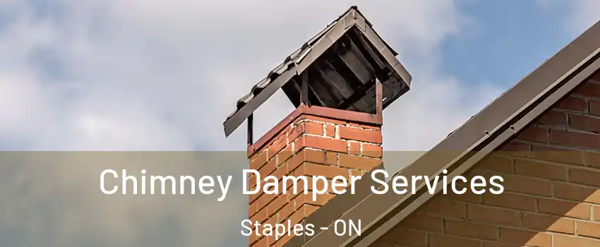 Chimney Damper Services Staples - ON