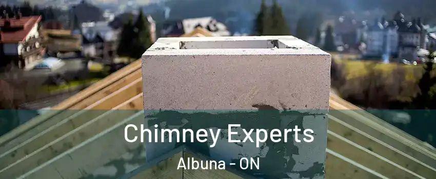 Chimney Experts Albuna - ON