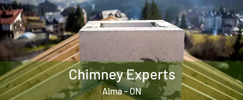  Chimney Experts Alma - ON