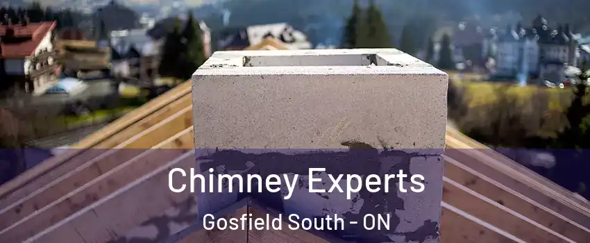 Chimney Experts Gosfield South - ON