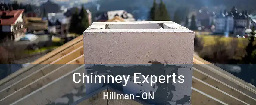 Chimney Experts Hillman - ON
