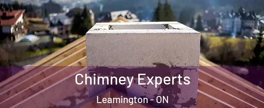  Chimney Experts Leamington - ON