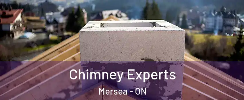  Chimney Experts Mersea - ON