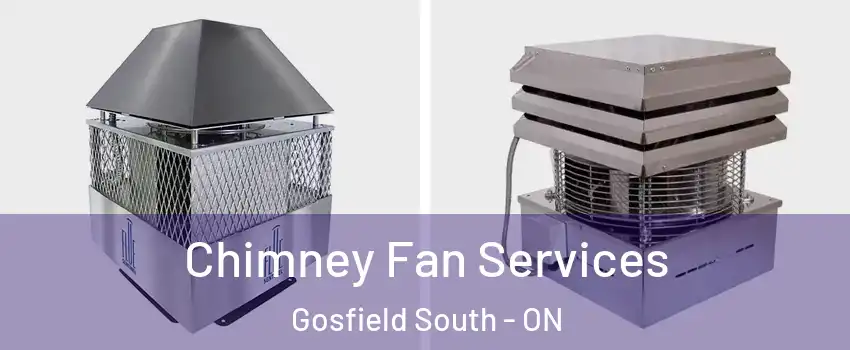  Chimney Fan Services Gosfield South - ON