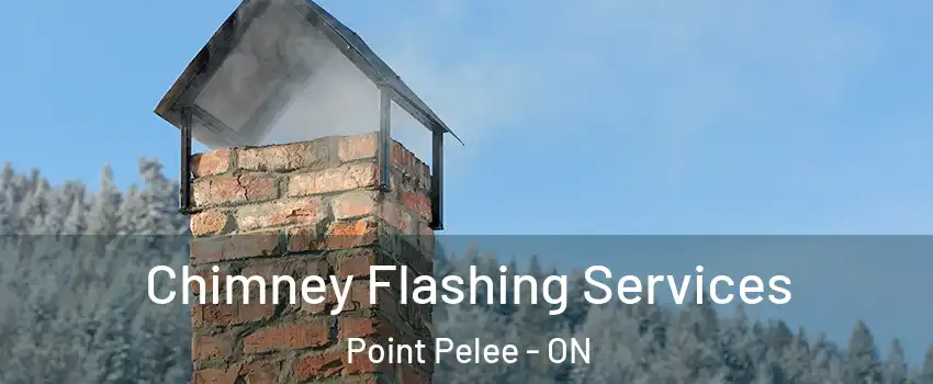 Chimney Flashing Services Point Pelee - ON