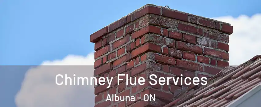  Chimney Flue Services Albuna - ON