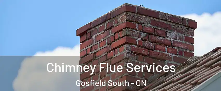  Chimney Flue Services Gosfield South - ON