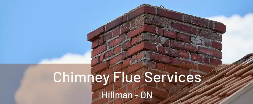  Chimney Flue Services Hillman - ON