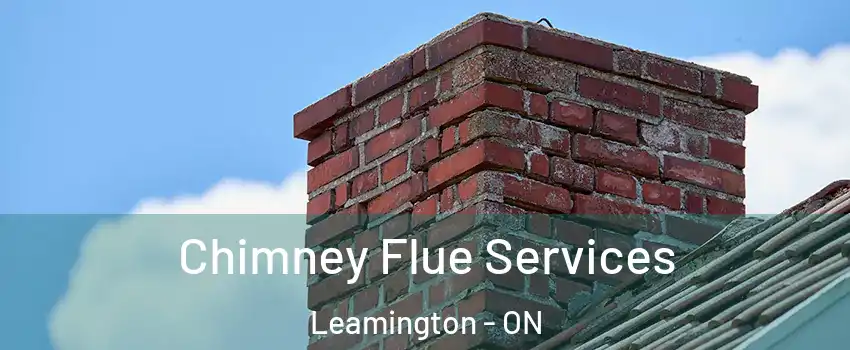  Chimney Flue Services Leamington - ON