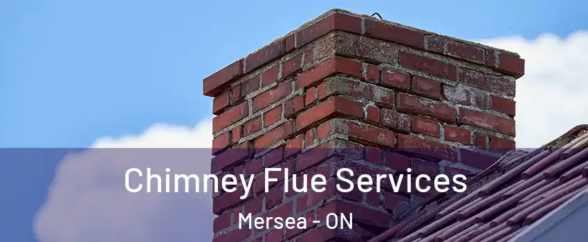  Chimney Flue Services Mersea - ON