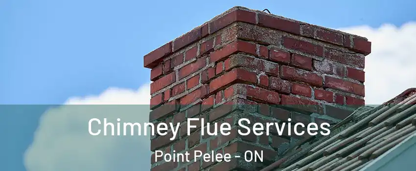  Chimney Flue Services Point Pelee - ON