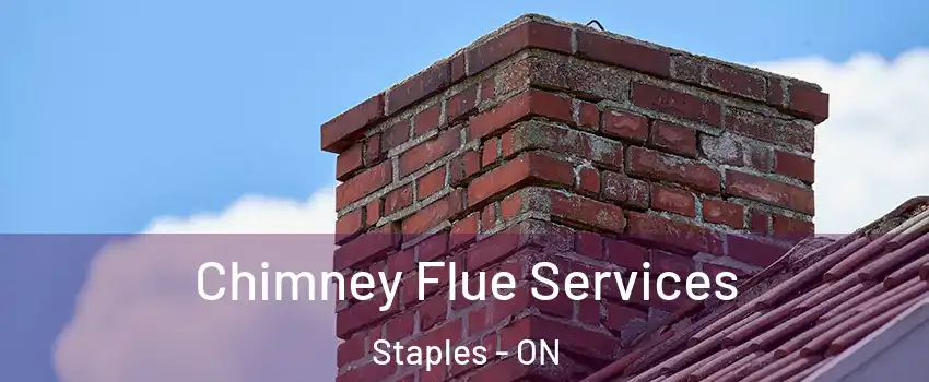  Chimney Flue Services Staples - ON