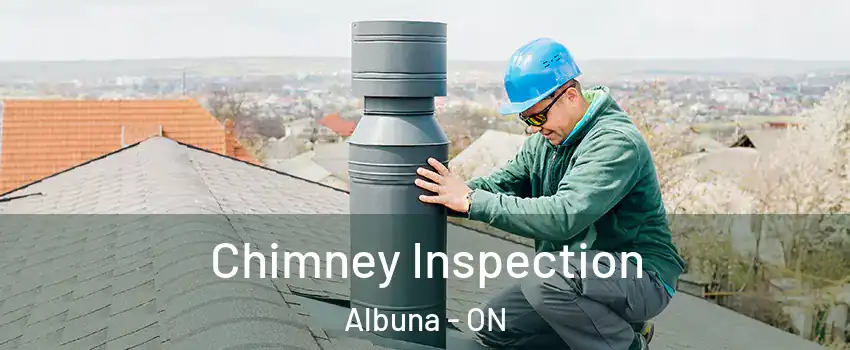  Chimney Inspection Albuna - ON