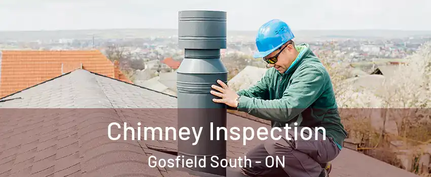  Chimney Inspection Gosfield South - ON