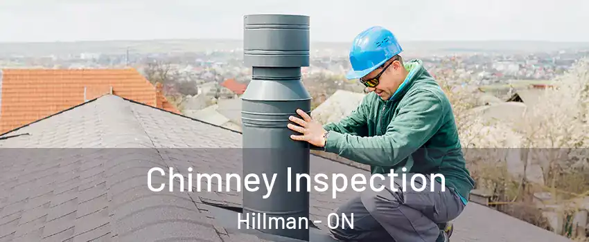  Chimney Inspection Hillman - ON