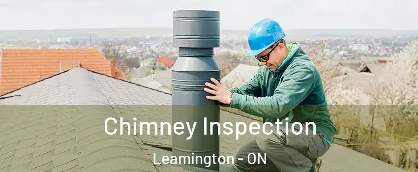  Chimney Inspection Leamington - ON