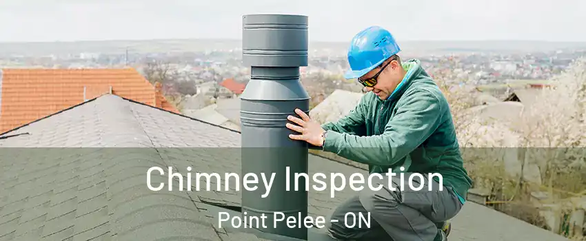  Chimney Inspection Point Pelee - ON