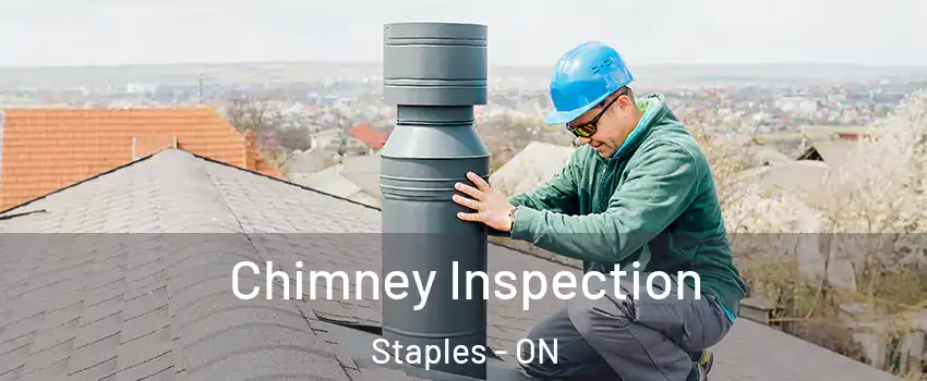  Chimney Inspection Staples - ON