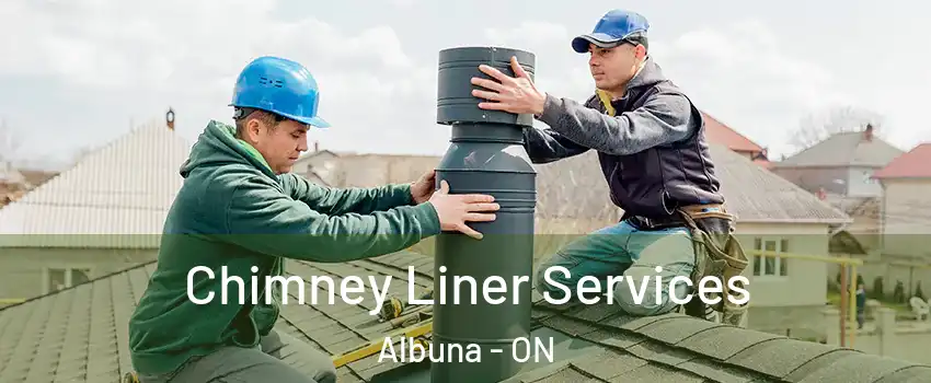  Chimney Liner Services Albuna - ON