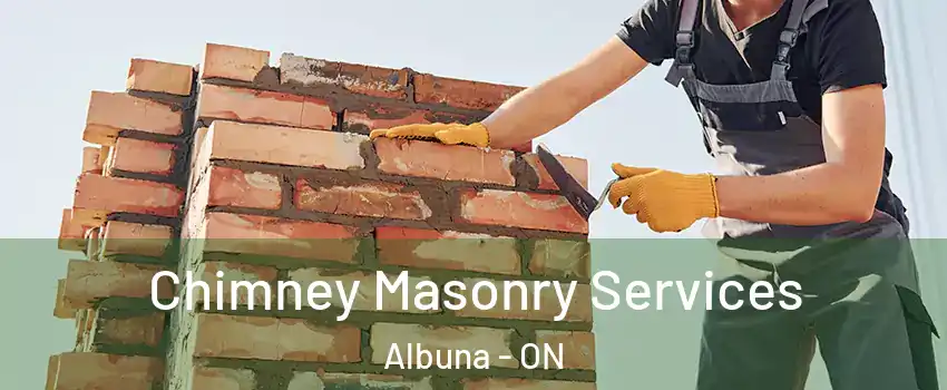  Chimney Masonry Services Albuna - ON