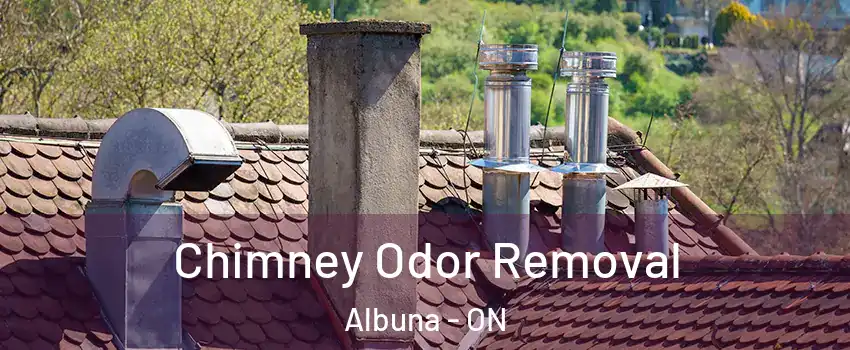  Chimney Odor Removal Albuna - ON