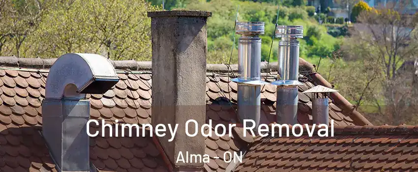  Chimney Odor Removal Alma - ON