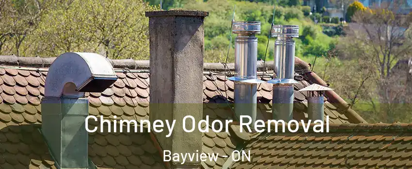  Chimney Odor Removal Bayview - ON