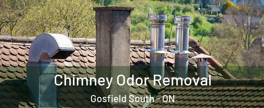  Chimney Odor Removal Gosfield South - ON