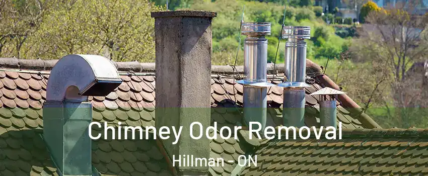  Chimney Odor Removal Hillman - ON