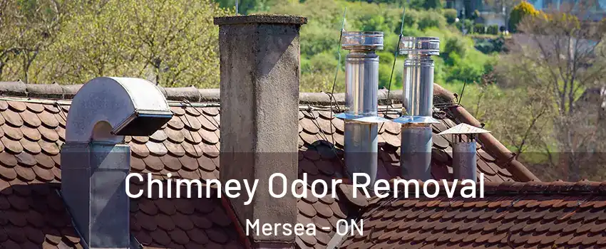  Chimney Odor Removal Mersea - ON