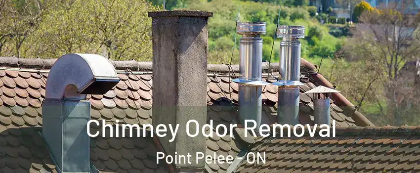  Chimney Odor Removal Point Pelee - ON