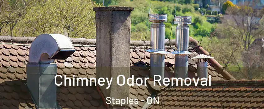  Chimney Odor Removal Staples - ON