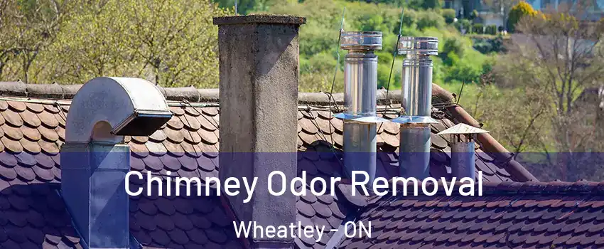  Chimney Odor Removal Wheatley - ON