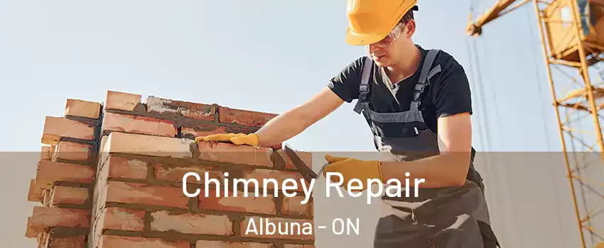  Chimney Repair Albuna - ON