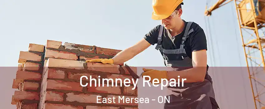  Chimney Repair East Mersea - ON