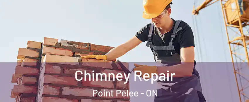  Chimney Repair Point Pelee - ON