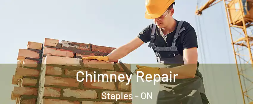  Chimney Repair Staples - ON