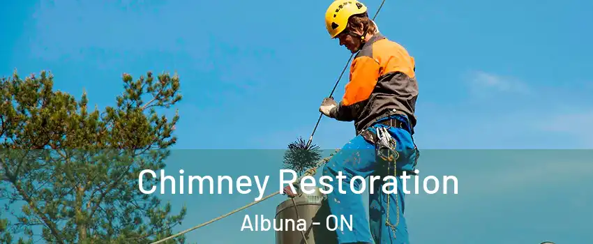  Chimney Restoration Albuna - ON