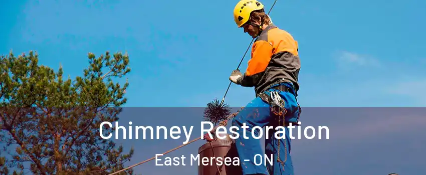  Chimney Restoration East Mersea - ON