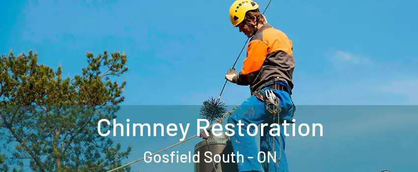  Chimney Restoration Gosfield South - ON