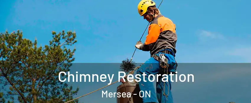  Chimney Restoration Mersea - ON